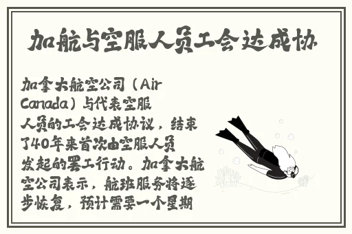 51吃瓜热心的朝阳群众51